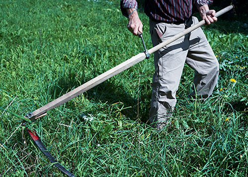 Great job of lawn care for a Family owned property near Troy, MI after stump removal.