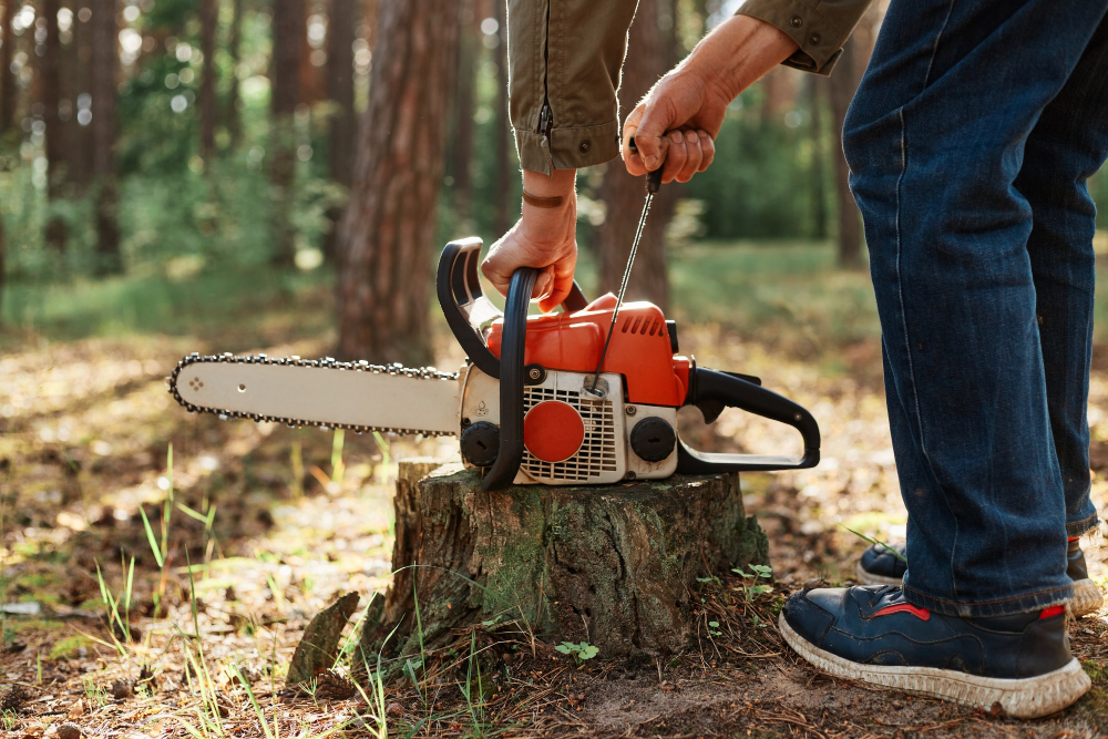 Stump grinding with our tree removal services by certified arborist in Lake Angelus, MI