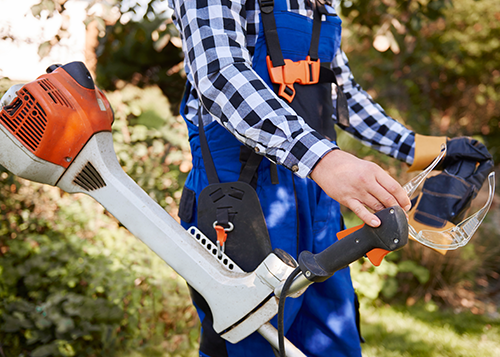 tree removal expert getting wood chips as part of tree removal service tree removal worker does stump grinding