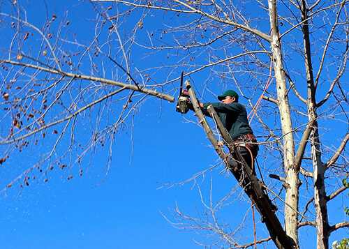  Worker hired to trim trees near Walled Lake, MI